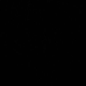 Meet your Posher, Donnell